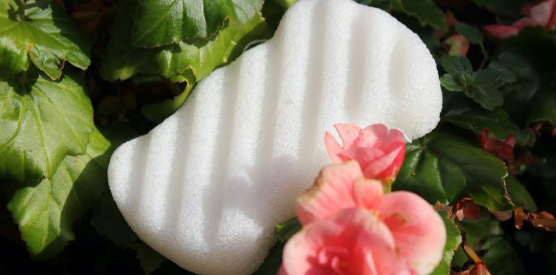 Qu’est-ce qu’une éponge konjac et comment l’utiliser ?